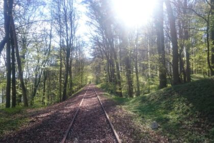 Bewaldete Bahnstrecke Malente–Lütjenburg bei der Haltestelle Holsteinische Schweiz