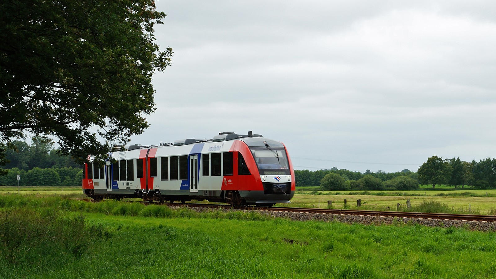 Ein Nordbahn-Triebwagen fährt durch eine grüne Landschaft bei Hohenwestedt