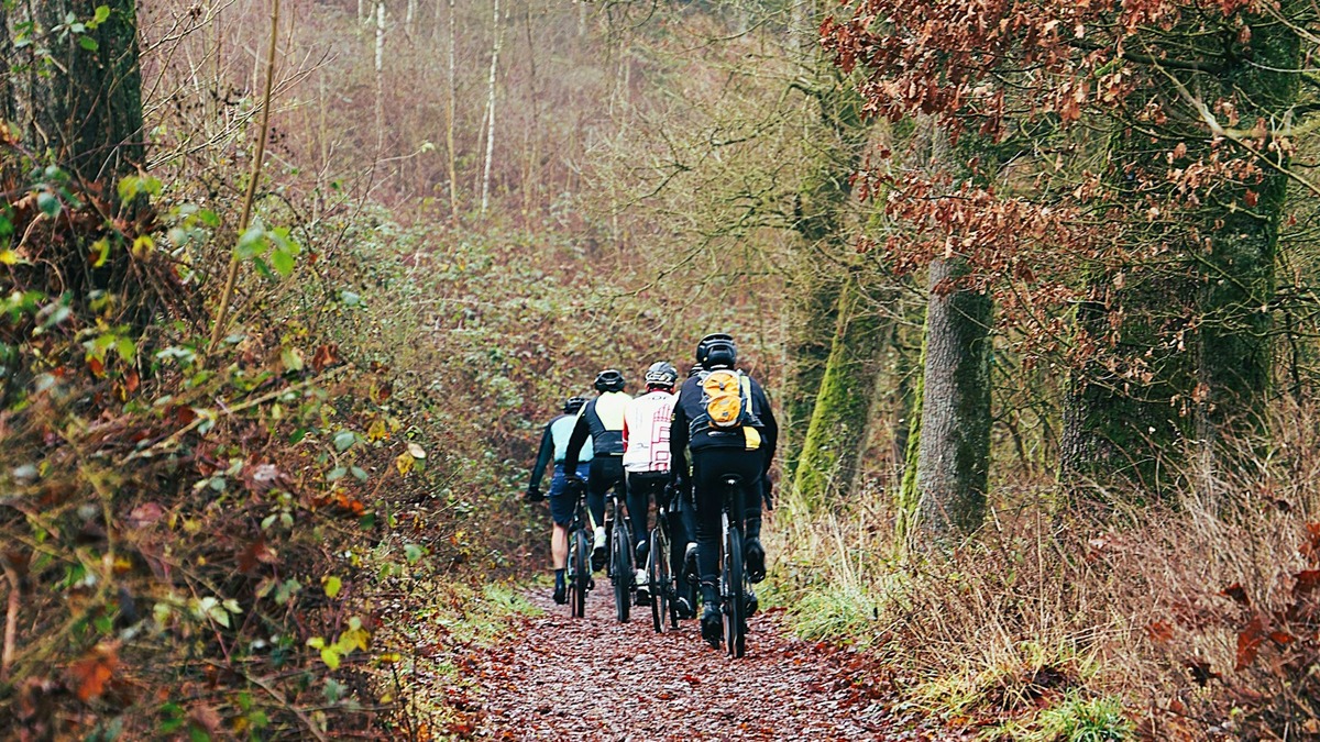 Eine Gruppe Erwachsener fährt gemeinsam mit Fahrrädern über einen Waldweg